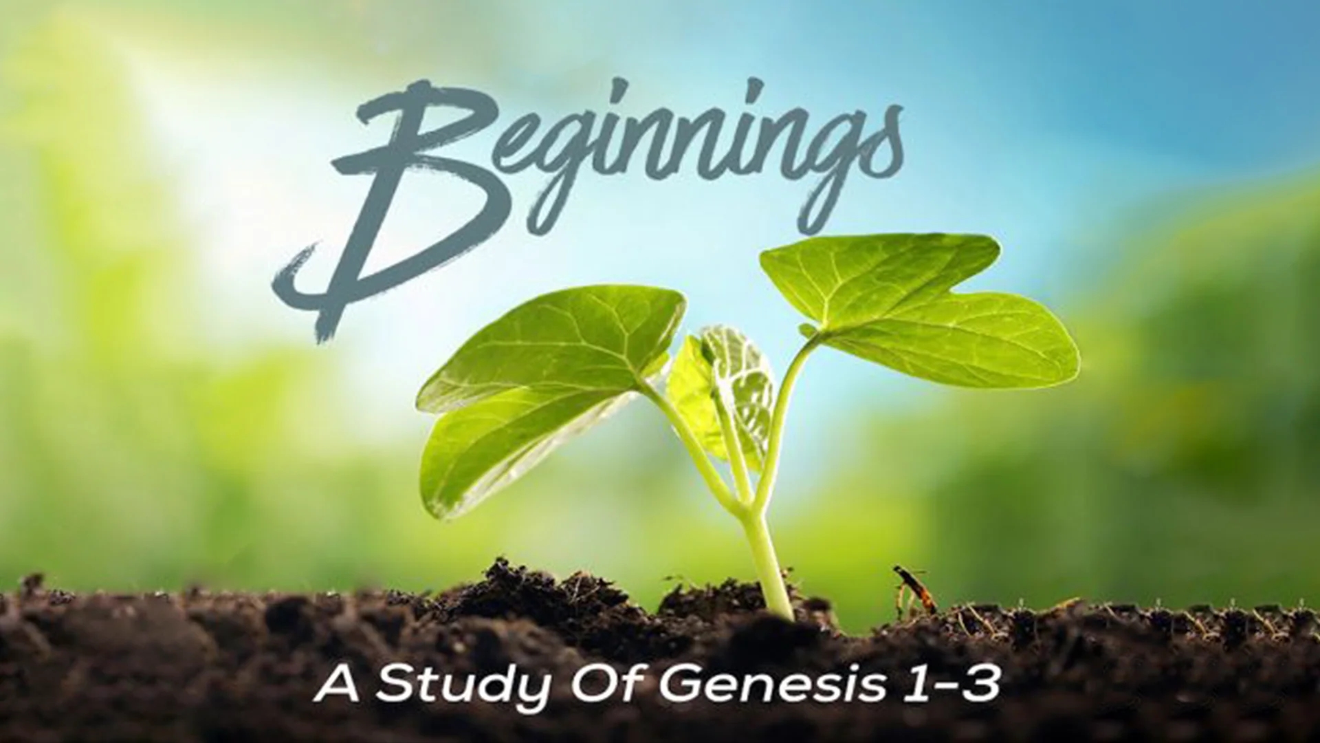 Beginnings: A Study of Genesis 1-3